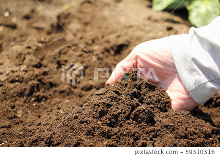 Field soil 89310316