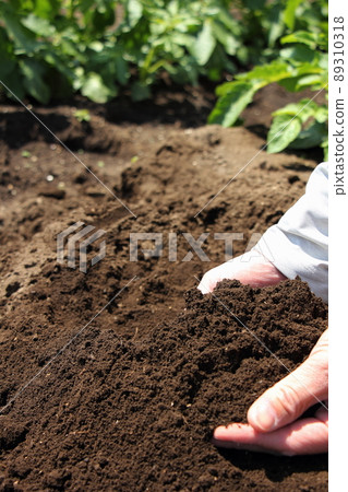 Field soil 89310318