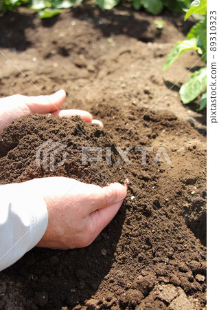Field soil 89310323