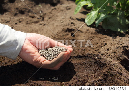 化肥領域 化肥領域 89310584