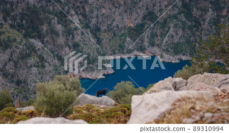 butterfly valley , travel to turkey butterfly valley , travel to turkey 89310994