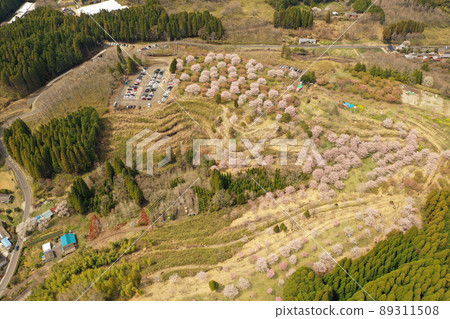 竹田市哭泣的櫻花之裡鳥瞰圖 竹田市哭泣的櫻花之裡鳥瞰圖 89311508