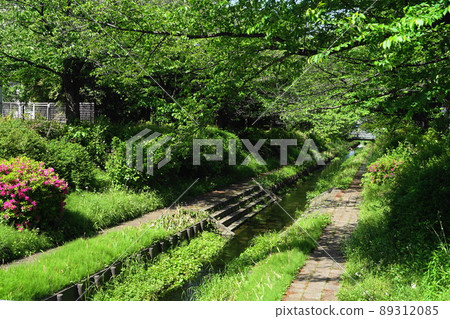 April Yokohama 690 Fresh green Egawa murmuring green road 89312085