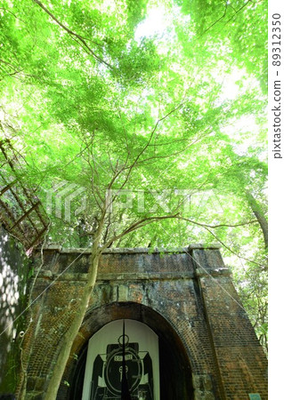 Blue maple of Aigi tunnel group Blue maple of Aigi tunnel group 89312350