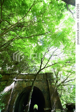 艾吉隧道群藍楓 89312366