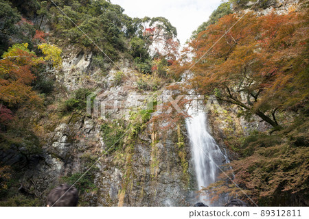 箕面大瀧 89312811