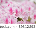 春季第 3 天 89312892