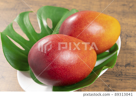 [熱帶水果] 成熟的芒果 89313041