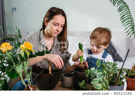 Mom and little son are transplanting houseplants together 89313198