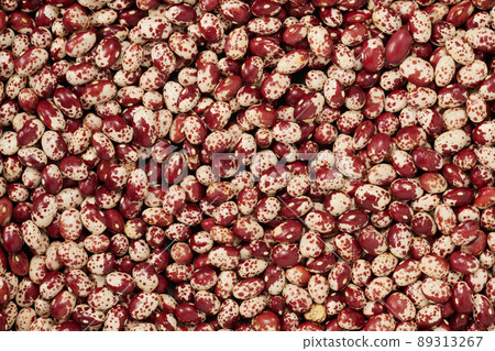 A bird's-eye view of a group of beans called "Kureshibori" from Hokkaido A bird's-eye view of a group of beans called "Kureshibori" from Hokkaido 89313267