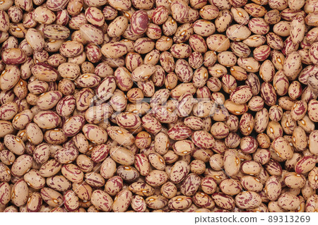 A bird's-eye view of a group of beans called "Uzura beans" from Hokkaido 89313269