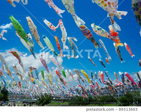 Carp streamer 89313603