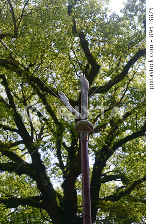 Anaorimiya Ikeda Shrine approach-2 89313875