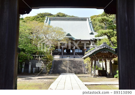 Fujisawa City, Kanagawa Prefecture Ryukoji Sanmon, Main Hall and Fresh Green Fujisawa City, Kanagawa Prefecture Ryukoji Sanmon, Main Hall and Fresh Green 89313890
