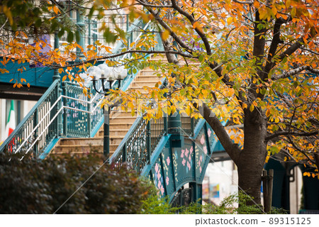 Autumn flower path 89315125