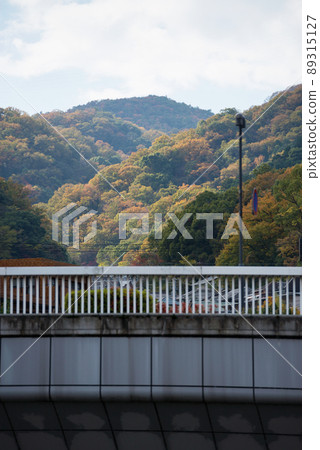 Takarazuka city in autumn 89315127