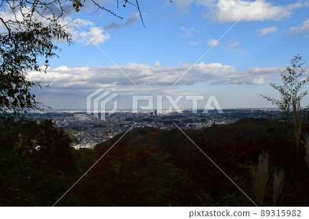 從高雄山的視圖 89315982