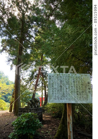 瀧野神社群馬篠塚 89315994