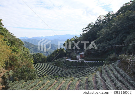 A tea room A tea room 89316002