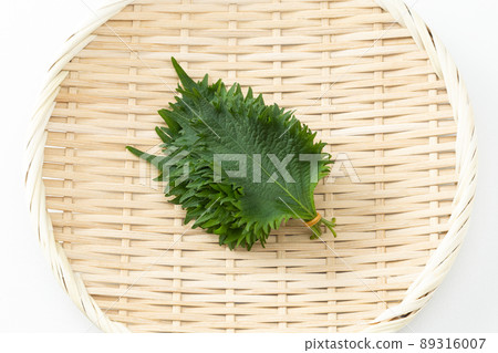 White leaf white back 89316007