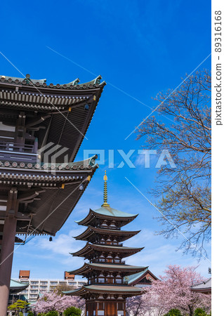 春天的角王山二太寺，櫻花盛開<愛知縣名古屋市> 89316168