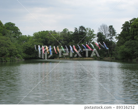 善福寺公園的鯉魚旗在風中搖曳 善福寺公園的鯉魚旗在風中搖曳 89316252