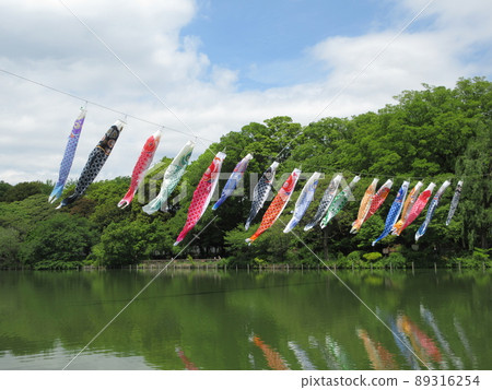 善福寺公園的鯉魚旗在風中搖曳 善福寺公園的鯉魚旗在風中搖曳 89316254
