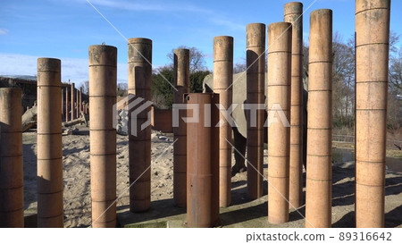 African Elephant Baby And Mom. Animal world. Elephant family mom and baby walk on their territory in sunny weather African Elephant Baby And Mom. Animal world. Elephant family mom and baby walk on their territory in sunny weather 89316642