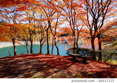 Autumn at Handayama Nature Park Autumn at Handayama Nature Park 89317115