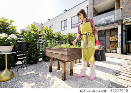 Woman at home vegetable garden in the backyard of her house 89317446