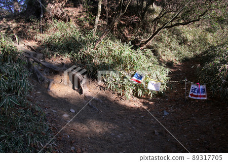 六甲山路、魚屋道路巡迴展覽、有馬溫泉一側 89317705