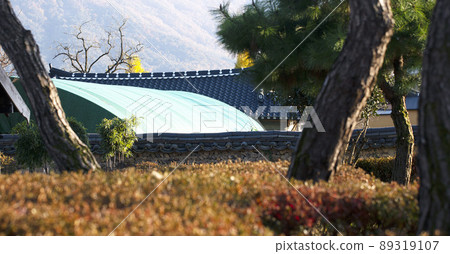Rural house Rural house 89319107