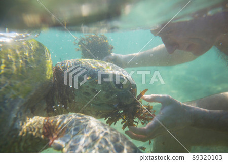Turtle and boy Turtle and boy 89320103