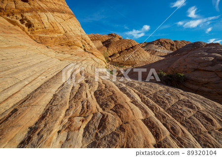 Utah landscapes 89320104