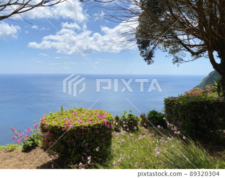 海、花和天空的風景 海、花和天空的風景 89320304