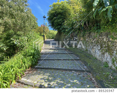 Landscape of foreign walking path full of green Stock photos 89320347