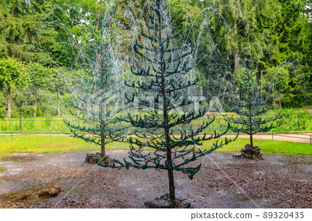 Fountains-crackers Fir trees in lower park of Peterhof in St. Petersburg, Russia Fountains-crackers Fir trees in lower park of Peterhof in St. Petersburg, Russia 89320435