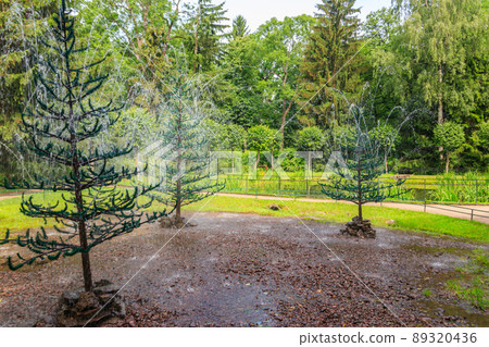 Fountains-crackers Fir trees in lower park of Peterhof in St. Petersburg, Russia Fountains-crackers Fir trees in lower park of Peterhof in St. Petersburg, Russia 89320436