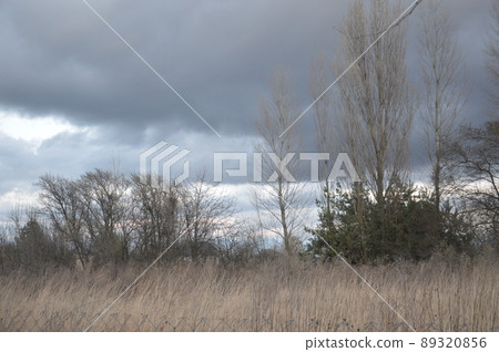 Thunderclouds in the evening on the sky in the village Thunderclouds in the evening on the sky in the village 89320856