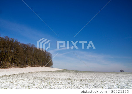 Wide open winter landscape near the Dutch village Simpelveld Wide open winter landscape near the Dutch village Simpelveld 89321335