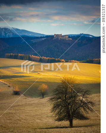 A tree in the foreground of a sunlit landscape with the ruins of 89321337