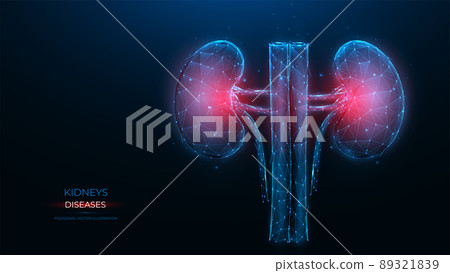 Polygonal vector illustration of an inflamed human kidney on a dark blue background. Diseases of the organs of the excretory system concept. Urological or nephrological template, or banner. 89321839