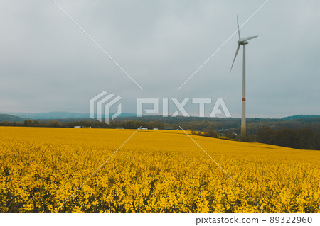 Yellow blooming rapeseed fields. Countryside landscape with a gray sky, wind turbines. Energy sources bright colorful spring and summer landscape Yellow blooming rapeseed fields. Countryside landscape with a gray sky, wind turbines. Energy sources bright colorful spring and summer landscape 89322960