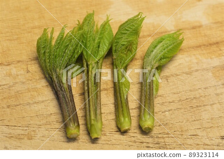 野生植物有春天的味道 89323114