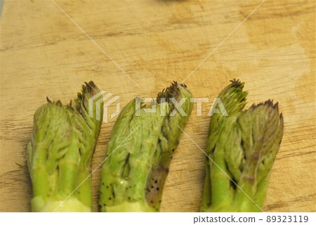 野生植物有春天的味道 野生植物有春天的味道 89323119