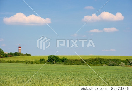 Field Field 89323896