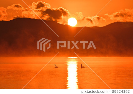 Swan in Lake Inawashiro 89324362