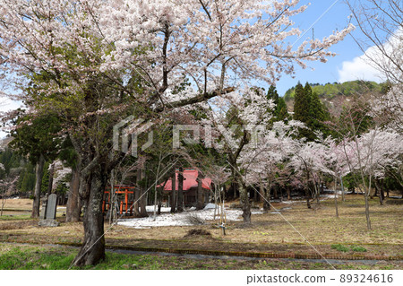Sakura Blooming Waterfall Shrine Tadami Town, Fukushima Prefecture 89324616
