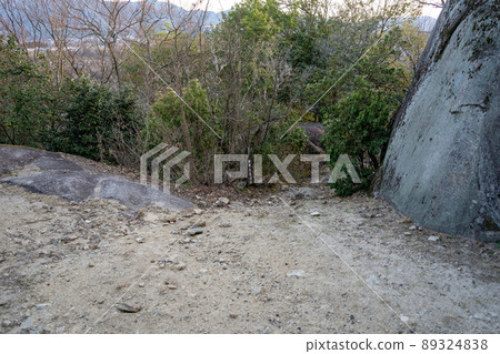[岐阜縣]苗木城跡 89324838