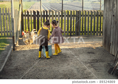 Two sisters with a blue bucket full of grain feed for birds feed hen at the chicken coop. Children help on the farm with household chores with poultry. Girls are dressed in rustic style and gumboots 89324869
